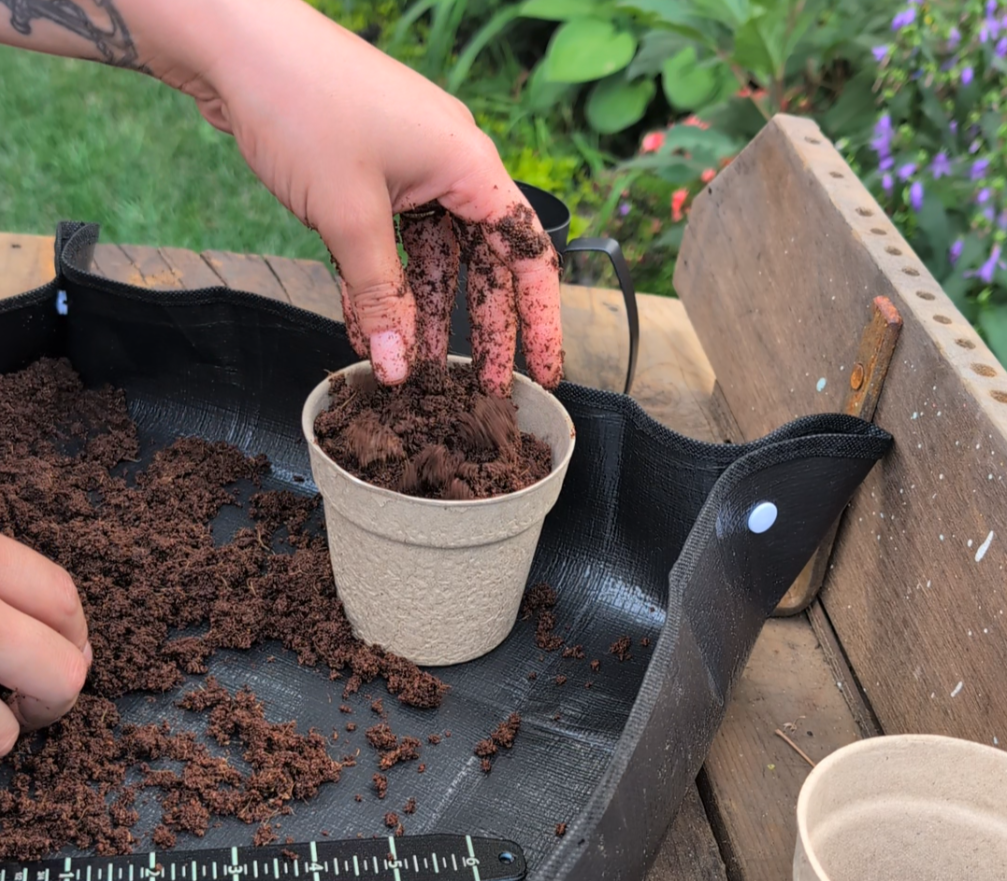 Simplicity Planting SimplyHomegrown.TO — Garden Starter Kits