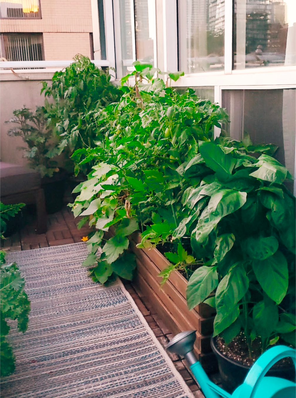 Urban Gardening: Choosing the Right Containers